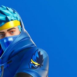 bisque-whale-366084.hostingersite.com ninja twitch