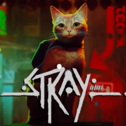 pc stray