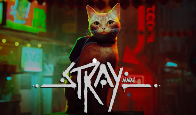 pc stray
